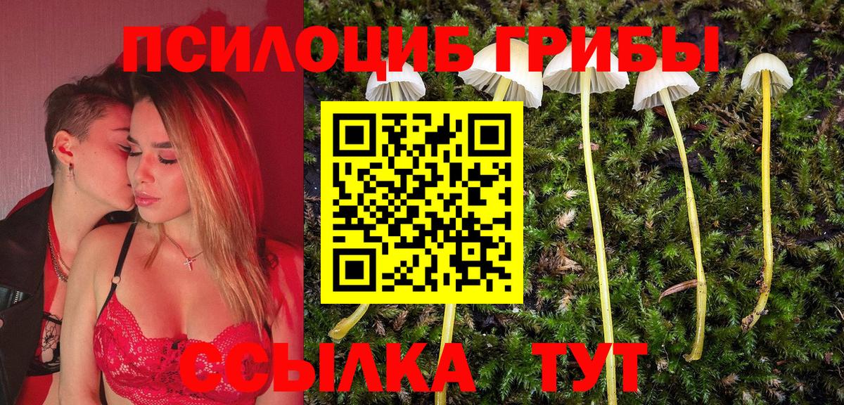 Псилоцибиновые грибы ЛСД  Галлюциногенные грибы мухоморы  Химки  Вход с VPN 